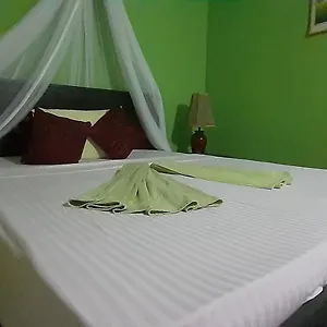 Bamboo House Homestay