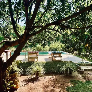 Shan Mango Homestay